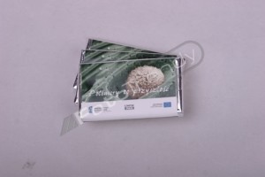 Czekoladki reklamowe Czekoladki reklamowe